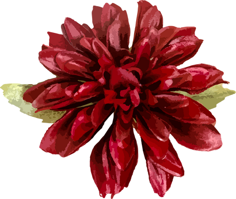 Red Flower